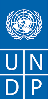 5. PNUD