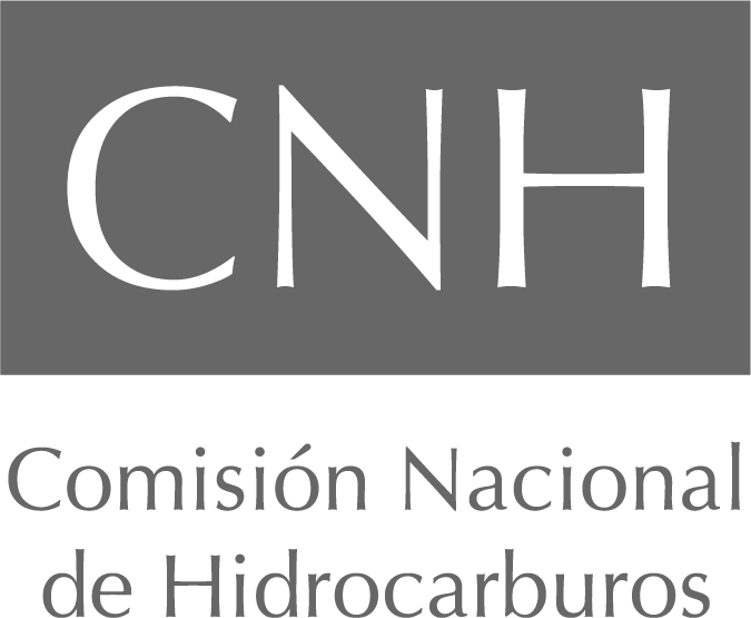 Cnh_logo
