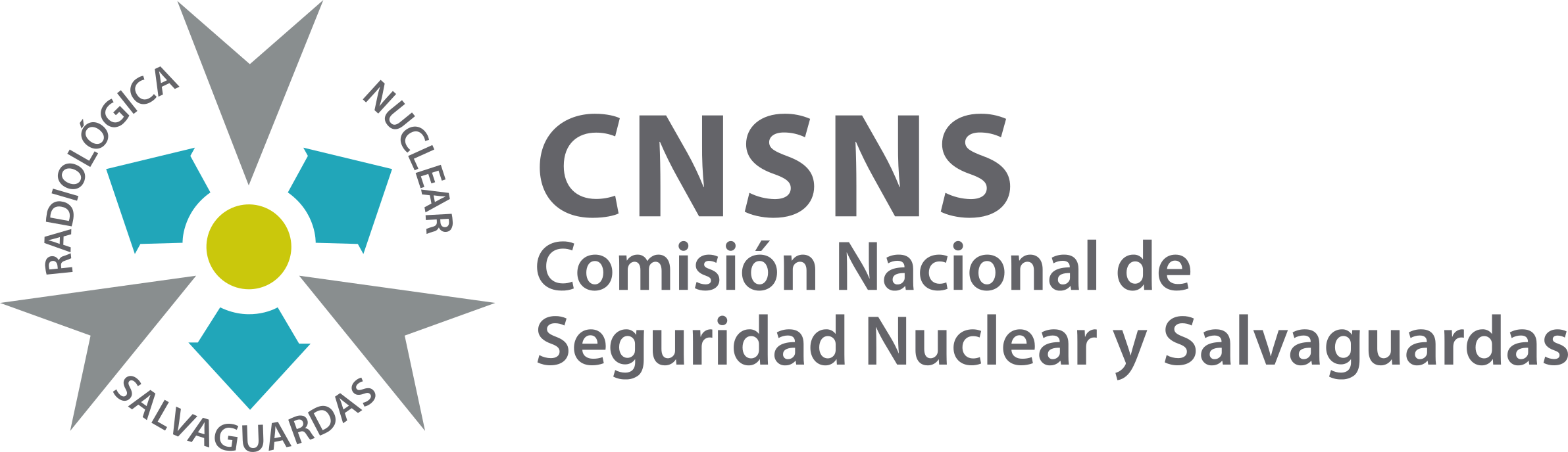 Logo CNSNS